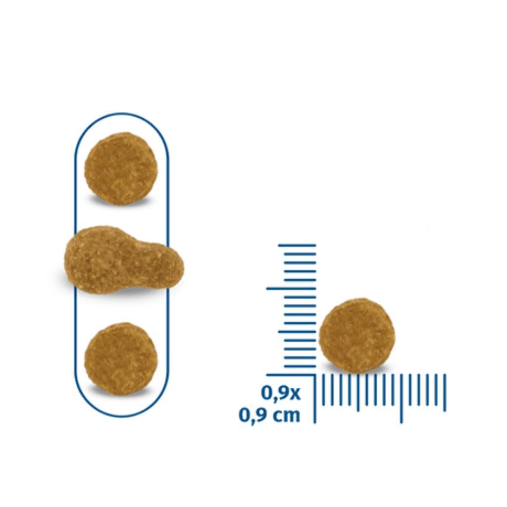 Cat food kibble pieces with size guide, three brown pellets