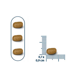 Sterilized cat food kibble pieces shown with size measurement