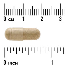 Swanson Vitamins, Full Spectrum® Buchu Leaf Extract, 100 mg, 60 Capsules