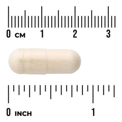 Swanson Vitamins, Full Spectrum® Onion Bulb, 400 mg, 60 Capsules