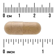 Beige milk thistle vegan capsule shown beside an inch measurement scale
