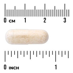 Garlic softgel capsule next to inch and cm measurement marks