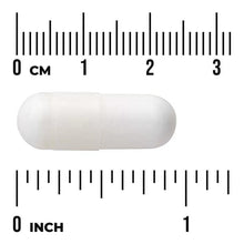 White L-methionine capsule with size ruler, 0–1 inch scale
