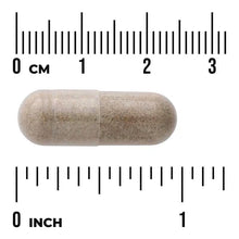 Gray herbal capsule next to inch and centimeter rulers