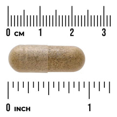 Swanson Vitamins, Full Spectrum Motherwort, 400 mg, 60 Capsules