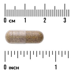 Swanson Vitamins, Banaba Extract, 90 Capsules (60 mg per Capsule)