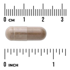 Swanson Vitamins, Triphala with Amla, Bihara & Haritaki, 500 mg, 100 Capsules