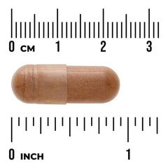 Swanson Vitamins Full Spectrum® Cat's Claw, 500 mg Capsules