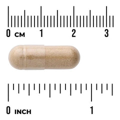 Swanson Vitamins, Full Spectrum® Astragalus Root, 470 mg, 100 Capsules