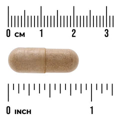Swanson Vitamins Full Spectrum® St. John's Wort, 375 mg Vegan Capsules