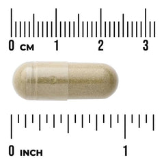 Swanson Vitamins, Full Spectrum® Andrographis Paniculata, 400 mg, 60 Capsules