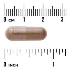 Swanson Vitamins, Full Spectrum® Burdock Root, 100 Capsules (460 mg per Capsule)