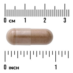 Swanson Vitamins, Full Spectrum® Dong Quai, 530 mg, 100 Capsules