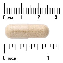 Wild yam herbal supplement capsule, off-white, shown with size ruler