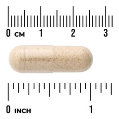Swanson Vitamins, Full Spectrum®, Wild Yam, 400 mg, 60 Capsules