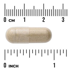 Swanson Vitamins, Full Spectrum® Feverfew, 380 mg, 100 Capsules