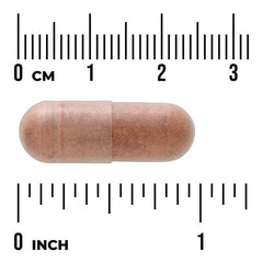 Swanson Vitamins, Cinnamon Extract, 250 mg, 90 Vegan Capsules