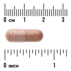 Swanson Vitamins, Pine Bark Extract, Standardised, 50 mg, 100 Capsules