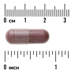 Swanson Vitamins, Hibiscus Flower, 400 mg, 60 Capsules