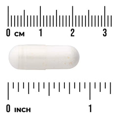Swanson Vitamins, Probiotic, 120 Capsules (1 Billion CFU per Capsule)