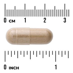 Swanson Vitamins, Stinging Nettle Root, 500 mg, 100 Capsules