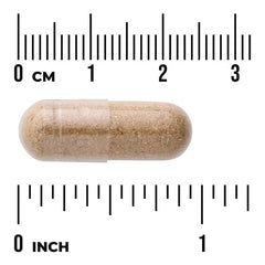 Swanson Vitamins, Marshmallow Root, 500 mg, 90 Capsules