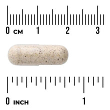 Speckled pale vegan capsule next to 1-inch size scale