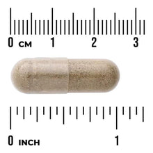 Swanson Full Spectrum Chanca Piedra 500 mg veggie capsule, beige, with size markings