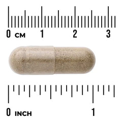 Swanson Vitamins, Full Spectrum® Chanca Piedra, 500 mg, 60 Veggie Capsules