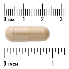 Beige gelatin capsule for horsetail supplement on measuring scale