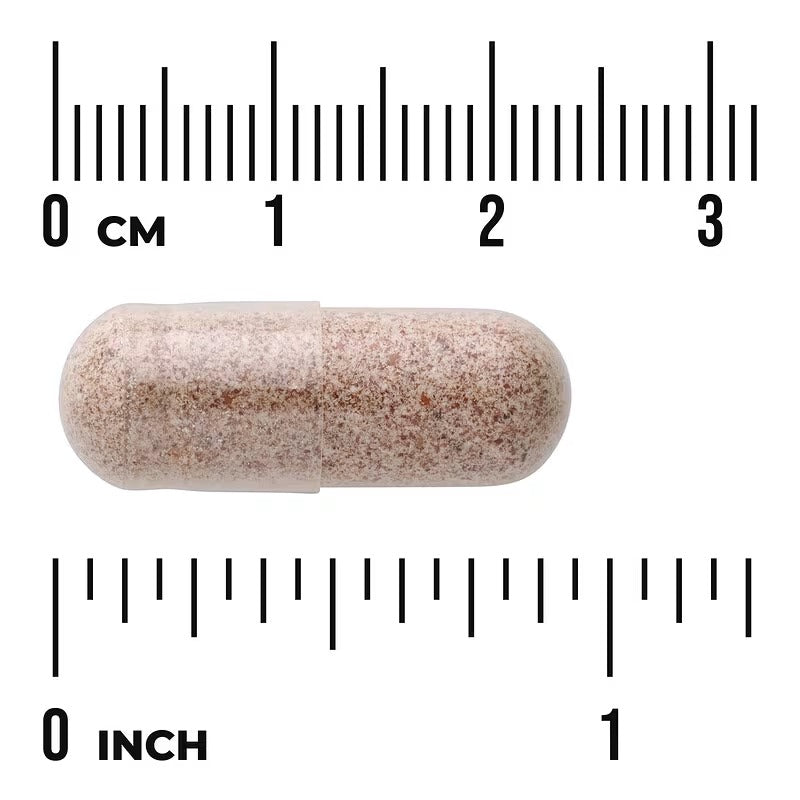 Schizandra berry supplement capsule, light beige speckled, 525 mg