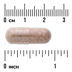 Schizandra berry supplement capsule, light beige speckled, 525 mg