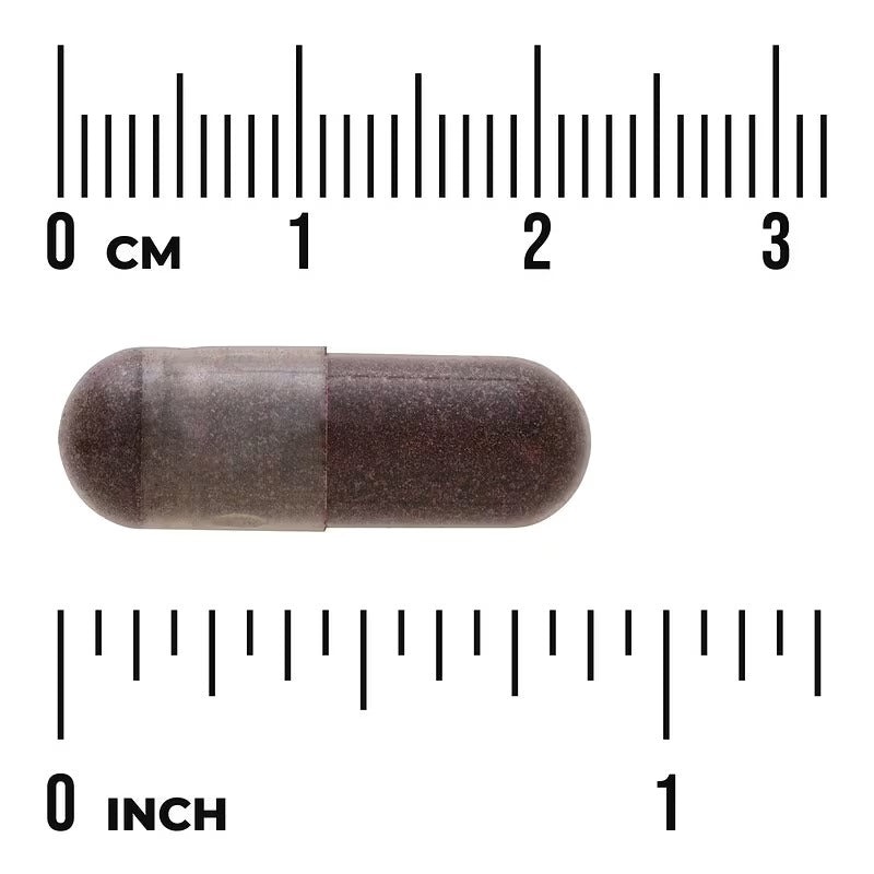 Dark mauve maqui berry softgel capsule with size scale