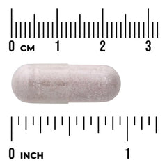Swanson Açaí Berry 500 mg capsule, light purple