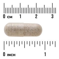 Swanson Vitamins, Sea Cucumber, 500 mg, 100 Capsules