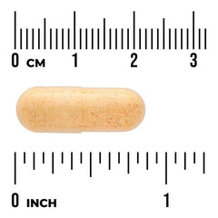 Beige oval vegan capsule next to measuring scale markings