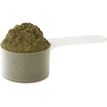 Dark green powdered supplement in measuring scoop