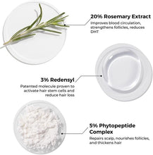 Scalp serum ingredients: rosemary sprig and Redensyl, in three labeled bowls