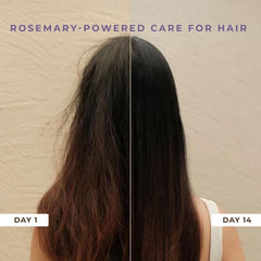 Naturali Anti Hairfall Shampoo with Rosemary, Biotin & Ginseng, 370ml