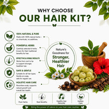 Ayurvedic hair powder blend kit with herbs in bowls and sachet-style packaging