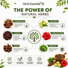 Herb ingredient graphic with bowls of jatamansi, amla, shikakai, reetha, hibiscus, bhringraj powders