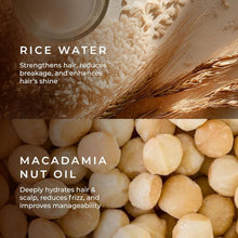 Close-up of rice grains and macadamia nut oil for rice water shampoo