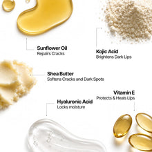 Lip balm ingredient chart: sunflower oil, kojic acid, shea butter, hyaluronic acid, vitamin E
