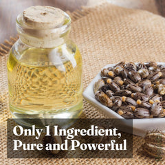 Cold-pressed castor oil bottle with castor seeds beside it.