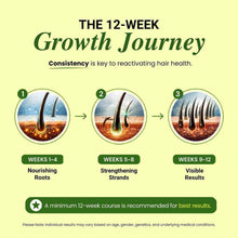 Hair growth journey chart for hair health reactivation over 12 weeks
