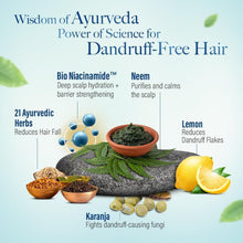 Ayurvedic anti-dandruff shampoo ingredient infographic with bio niacinamide, neem, lemon