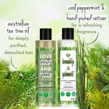 Purifying shampoo and conditioner bottles with tea tree oil and vetiver, 200 ml each