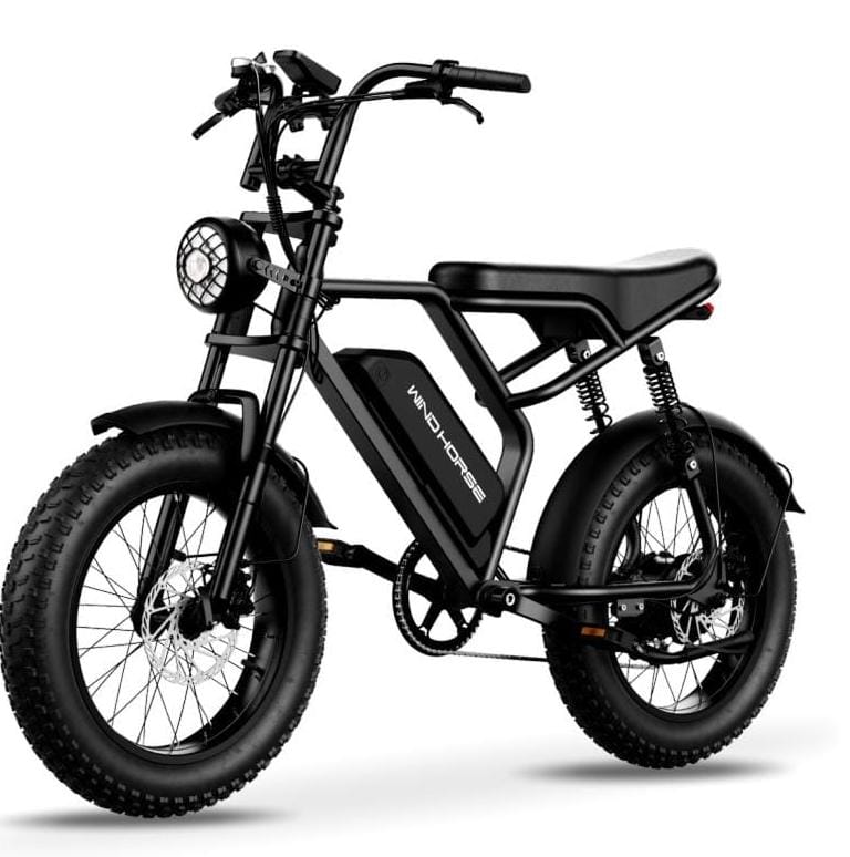 Windhorse 48V Fast Electric Bike for Adults
