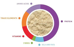 Padovan Loryfood 900gm