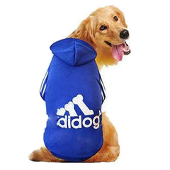 Golden Retriever wearing a blue Adidog dog hoodie with a stylish logo on the back